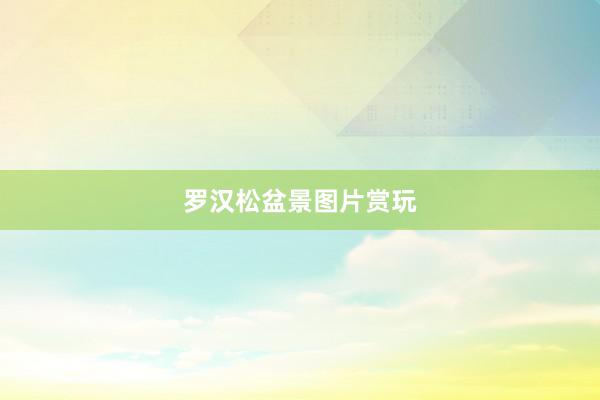 罗汉松盆景图片赏玩