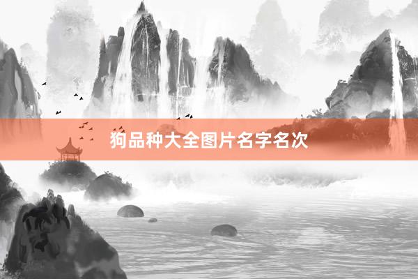 狗品种大全图片名字名次