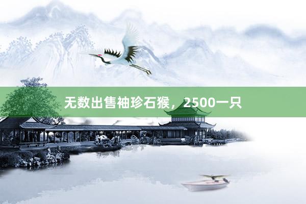 无数出售袖珍石猴，2500一只